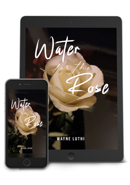 Water 3b Ebook